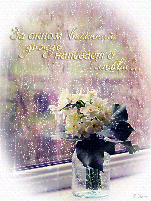 Хорошего дня несмотря на дождь картинки